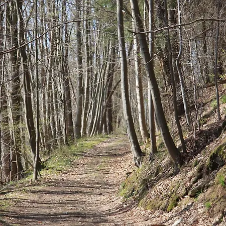 Mini-hôtel Waldfrieden