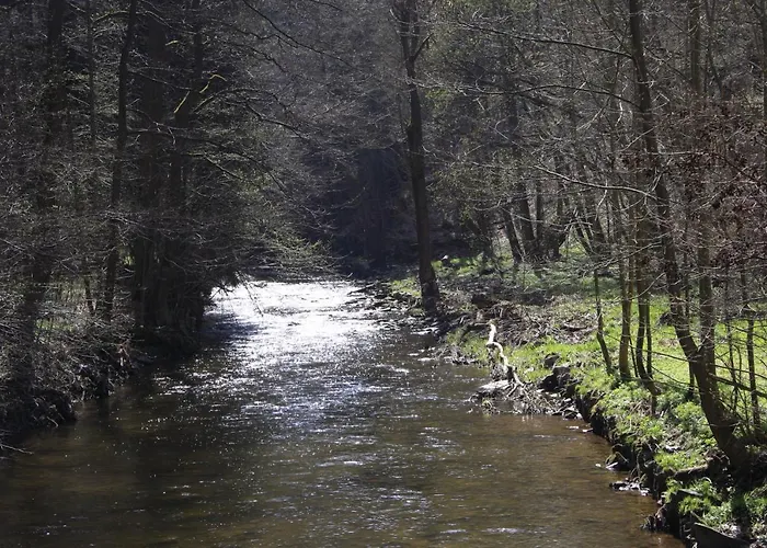 Waldfrieden Elsterberg